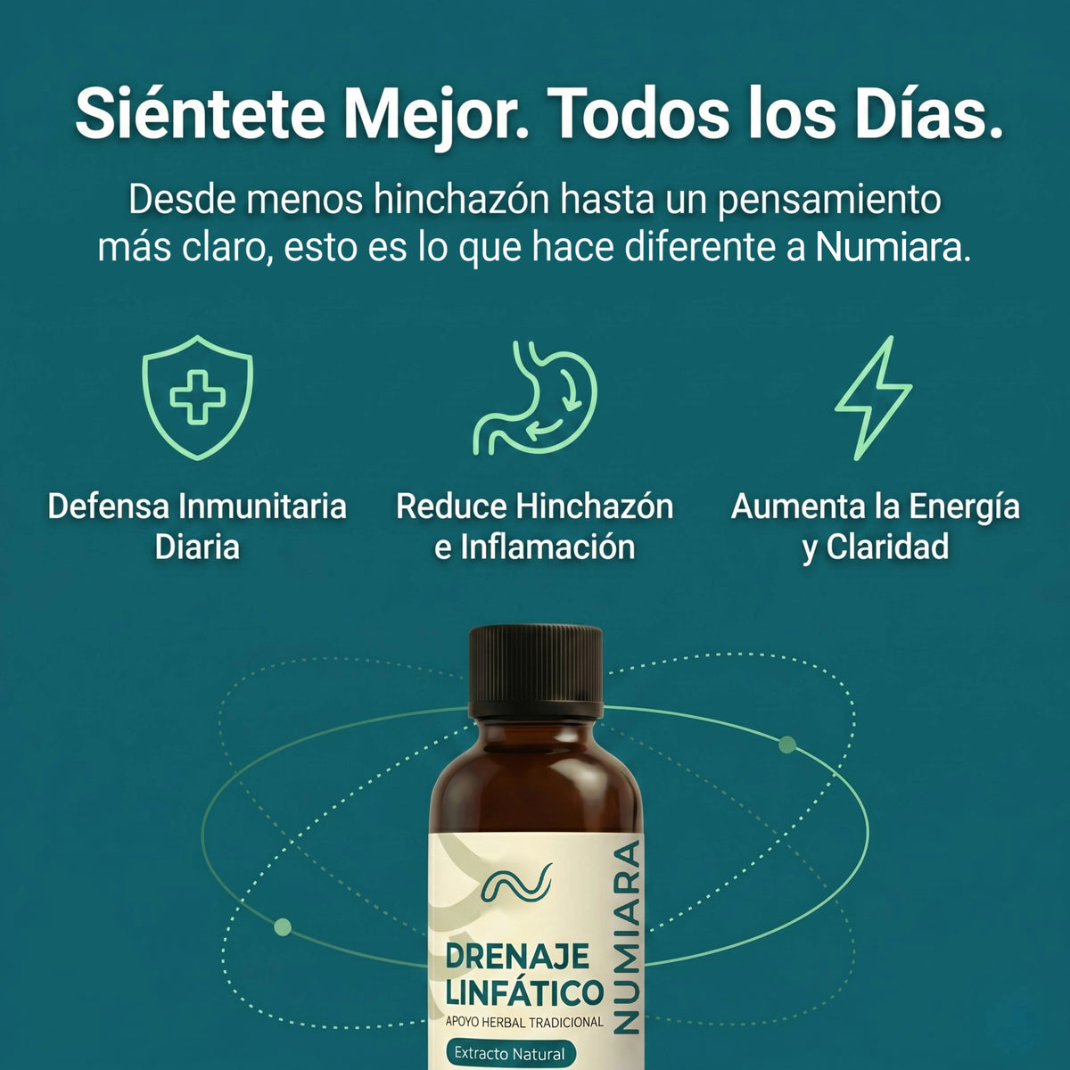 Siéntete mejor todos los días: defensa inmunitaria, menos hinchazón, más energía