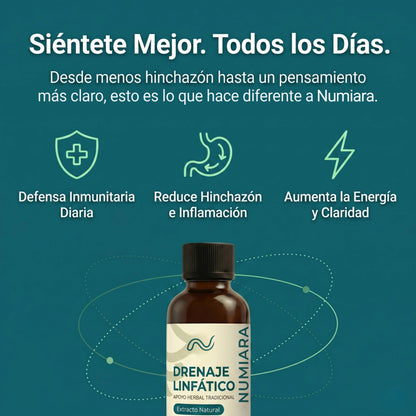Siéntete mejor todos los días: defensa inmunitaria, menos hinchazón, más energía