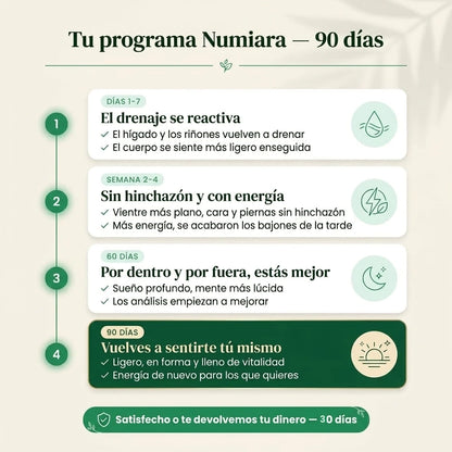 Tu programa Numiara de 90 días