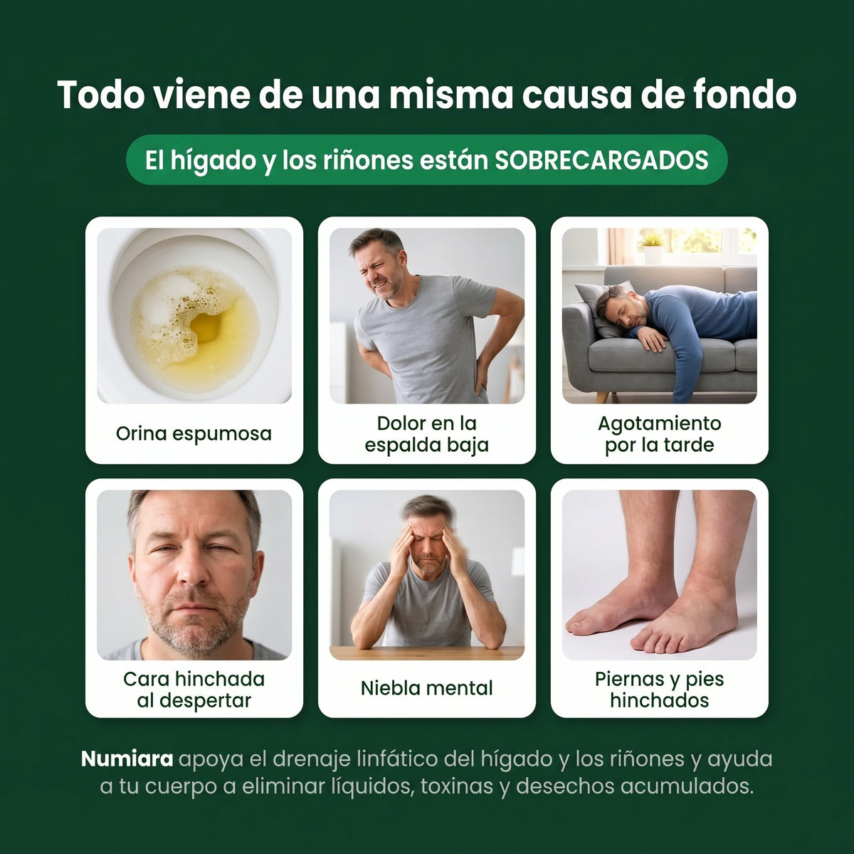 Señales de hígado y riñones sobrecargados