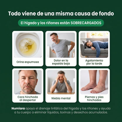Señales de hígado y riñones sobrecargados
