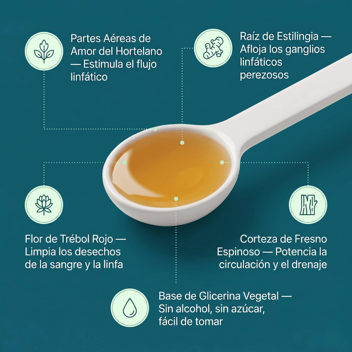 Ingredientes: amor del hortelano, estilingia, trébol rojo, fresno espinoso