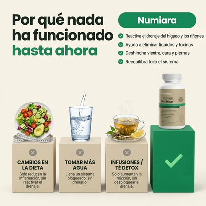 Por qué la dieta, el agua y las infusiones no bastan