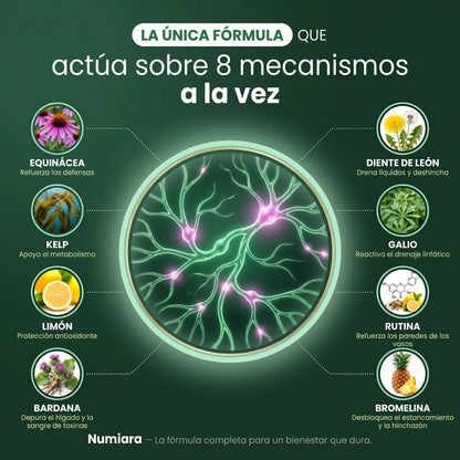 Fórmula que actúa sobre 8 mecanismos a la vez